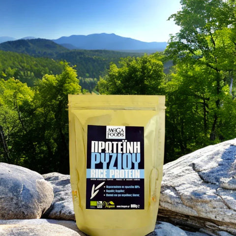 ΠΡΩΤΕΙΝΗ ΡΥΖΙΟΥ (RICE PROTEIN)