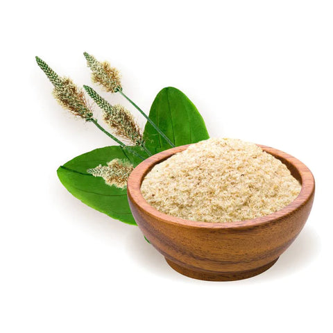 ΨΥΛΙΟΥΜ (PSYLLIUM BIO)