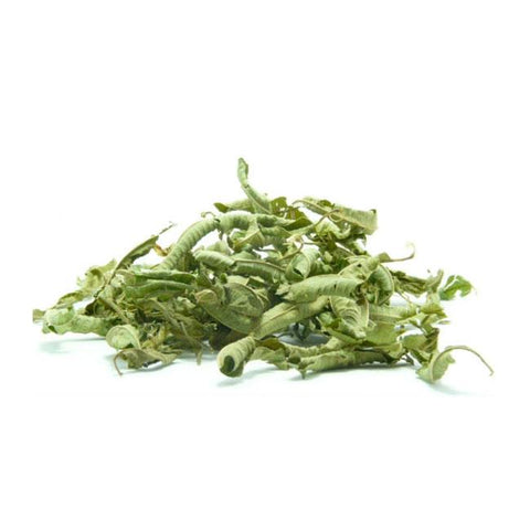 Verveine citronnée de Crète -Bio (Aloysia Citrodora)